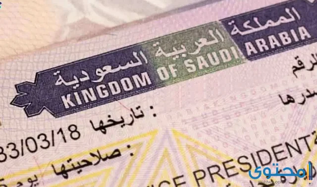 شروط الحصول على تأشيرة العمل في السعودية