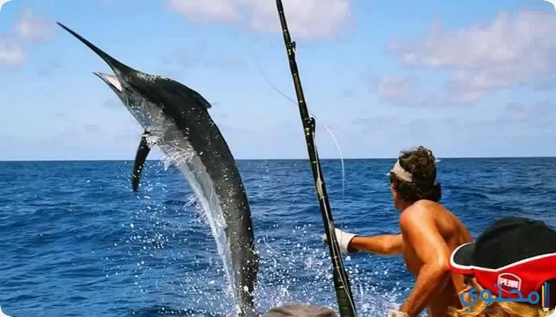 الصيد فى جزيرة موريشيوس