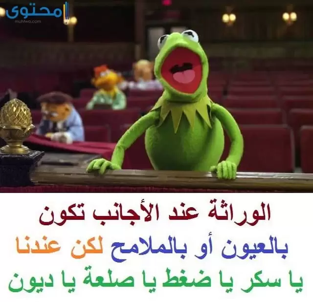 نكت الضفدع