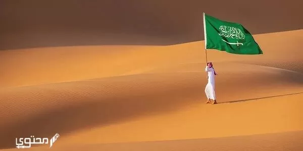 الطهيمي وش يرجع