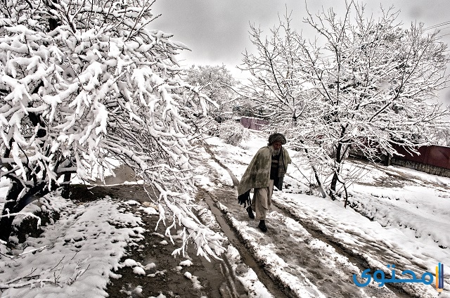 العاصفة الثلجية الأفغانية 2008 ـ أفغانستان