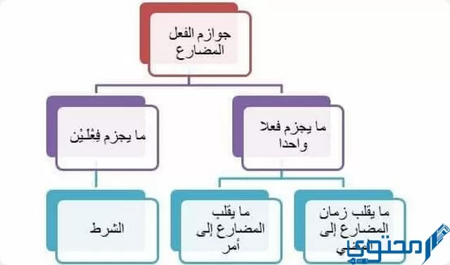 العاملان لم يخونا أمانتهما