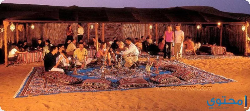 البدور1
