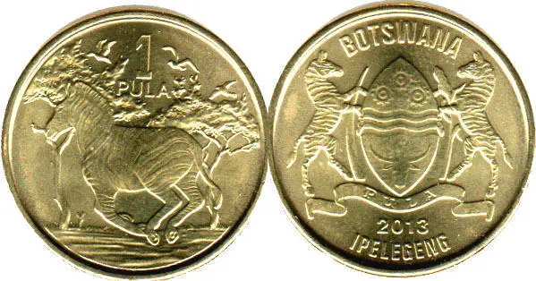 العملة الرسمية في بوتسوانا