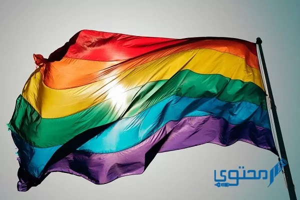 الفرق بين قوس قزح وعلم المثليين