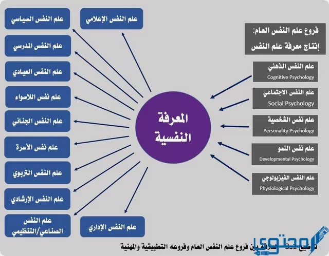 القبول في تخصص علم النفس