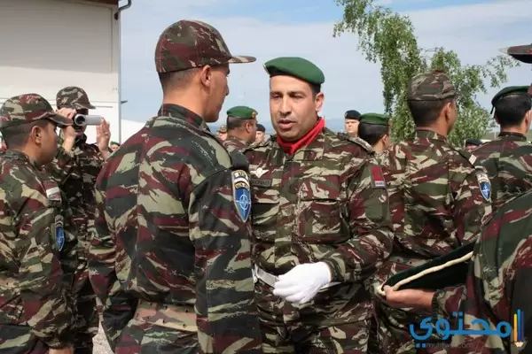تاريخ الجيش المغربي المعاصر