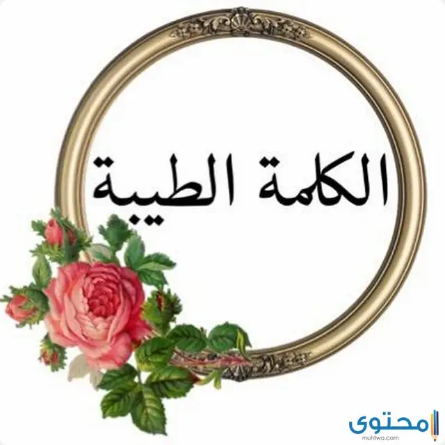 الكلمة الطيبة وحفظ اللسان 