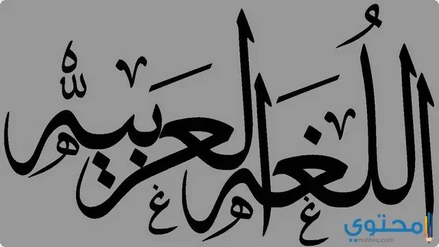أهمية اللغة العربية