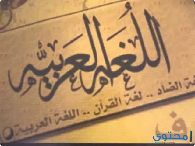 العربية2
