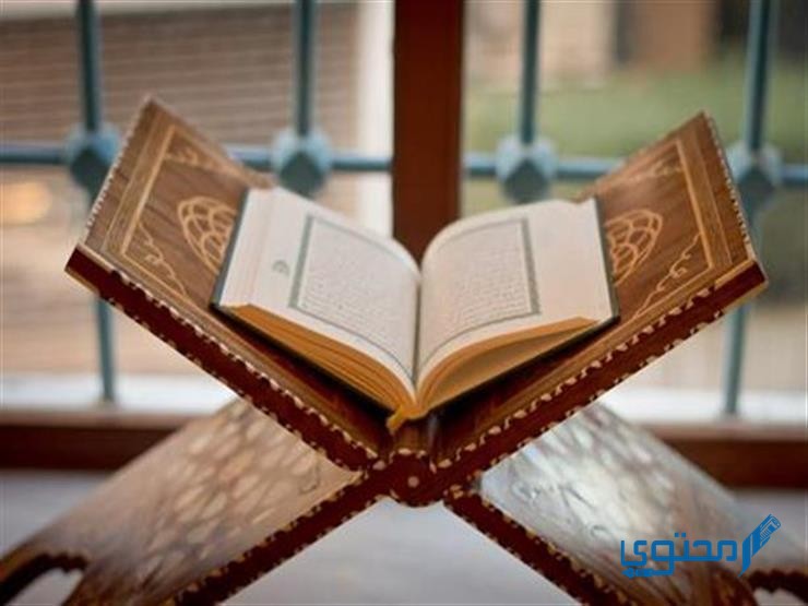 الله لا إله إلا هو الحي القيوم لا تأخذه سنة 1 الله لا إله إلا هو الحي القيوم لا تأخذه سنة