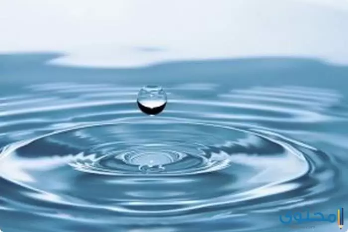 بحث عن الماء