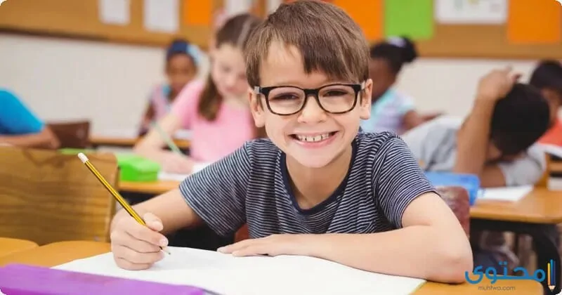 المذاكرة والدراسة