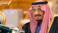 بأمر ملكي السعودية تصرف مكافأة تشجيعية جديدة 