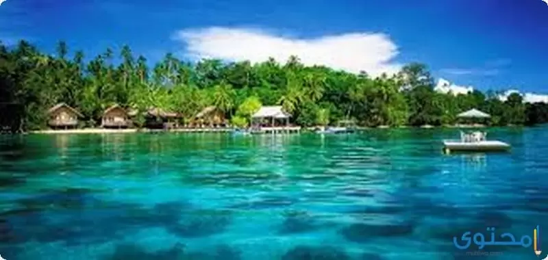 مناظر طبيعية من جزر سليمان الإستوائية 2023
