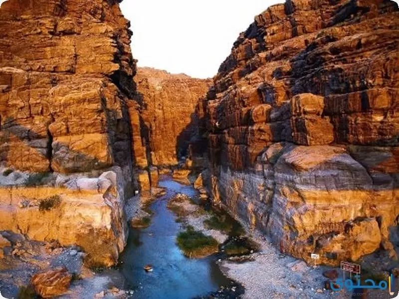 محميات الأردن الطبيعية