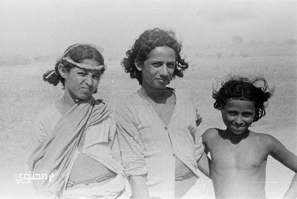 الناشري وش يرجع