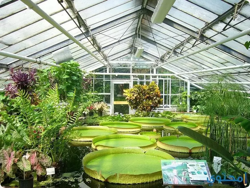 حدائق النباتات الوطنية في دبلن