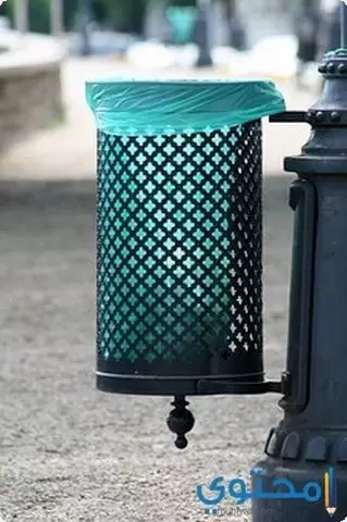 أهمية النظافة