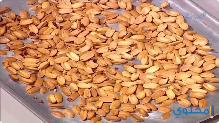 بالسودانى5