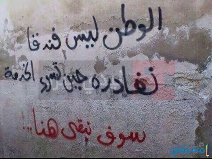 افضل 5 اشعار وقصائد عن الوطن جديدة