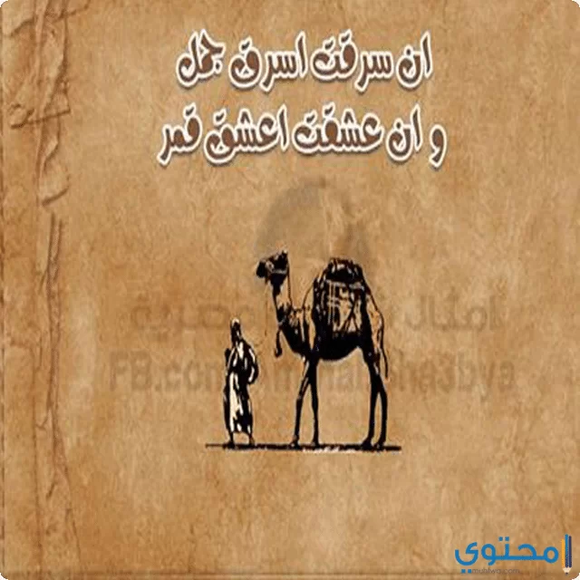 امثال مضحكة مصرية