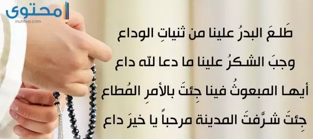 أناشيد المولد النبوي الشريف مكتوبة (مولد خير الأنام )