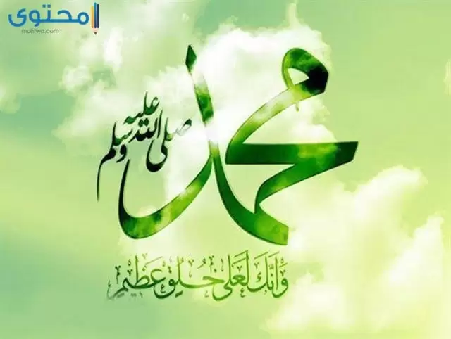 كلمات بمناسبة المولد النبوي الشريف للتهنئة بذكري مولد الرسول 1445