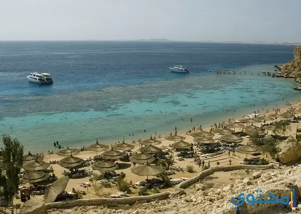 وتعبير عن سيناء كامل3