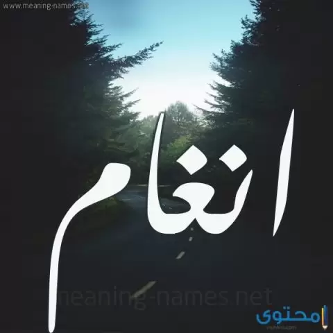 معنى اسم أنغام