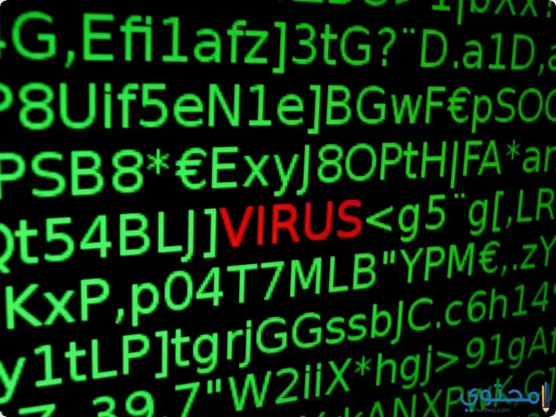 انواع فيروسات الكمبيوتر واضرارها