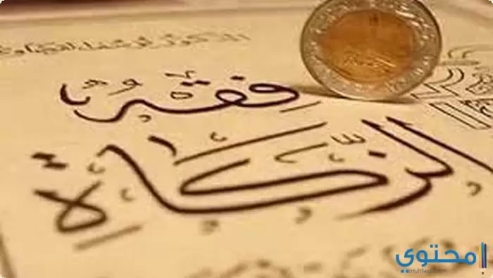 مقدار قيمة زكاة الفطر في مصر من دار الإفتاء