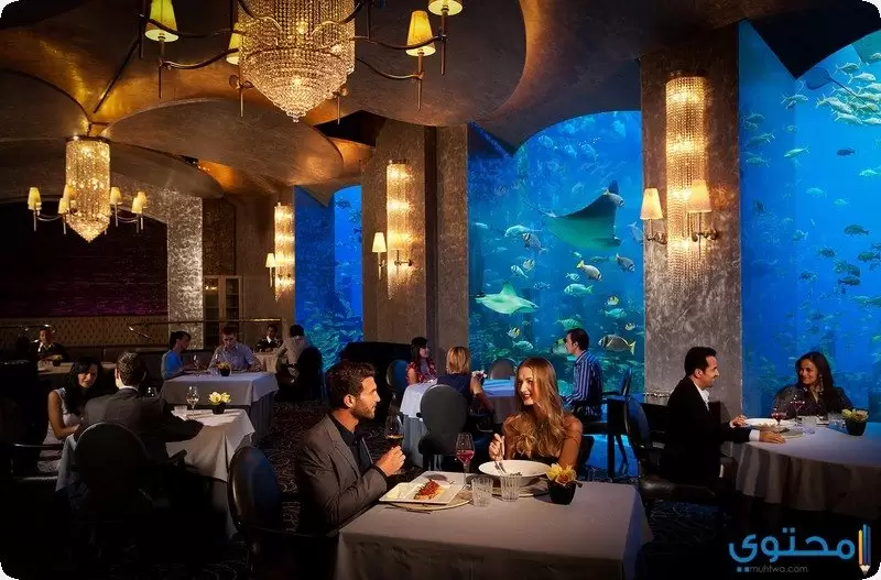 أفضل صور ومعلومات عن مطاعم دبي 2024