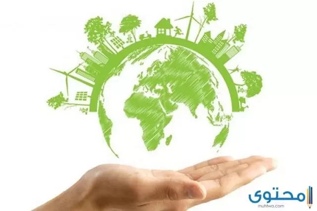 بحث حول الإدارة البيئية