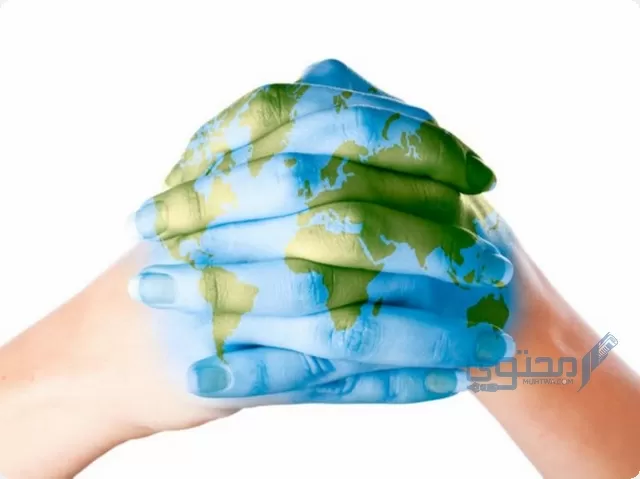 بحث دور المواطن في المحافظة على الأمن