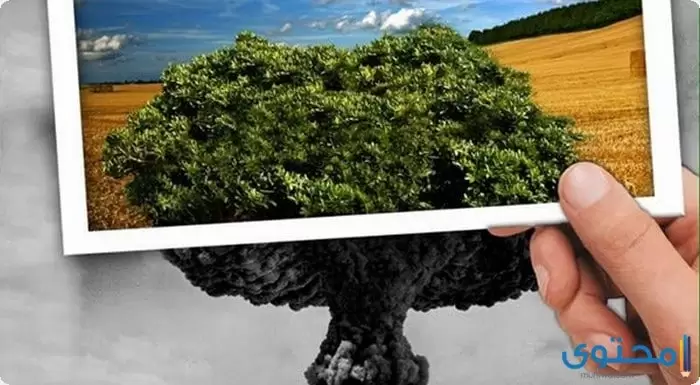 عن أثر الحروب على البيئة1
