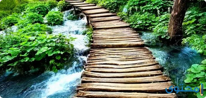 بحث عن أثر الحروب على البيئة