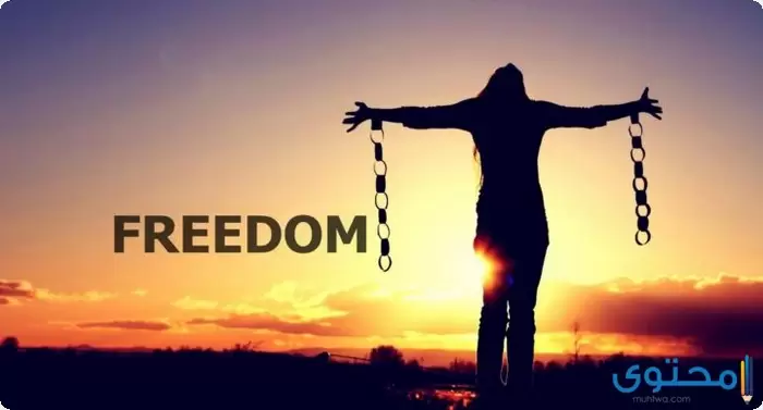بحث عن أهمية الحرية للإنسان1