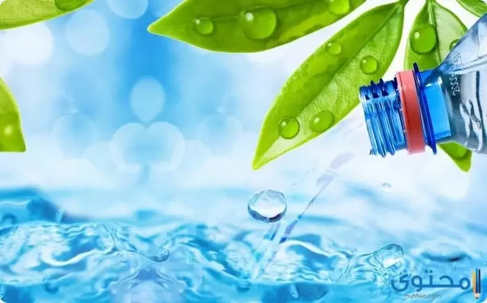 بحث عن أهمية الماء في حياة الإنسان