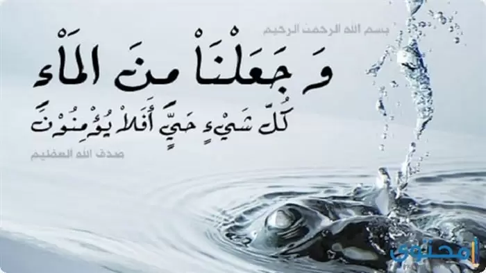 بحث عن أهمية الماء في حياة الإنسان