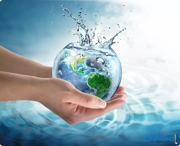 عن أهمية الماء في حياة الإنسان3