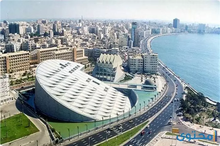 بحث عن الإسكندرية