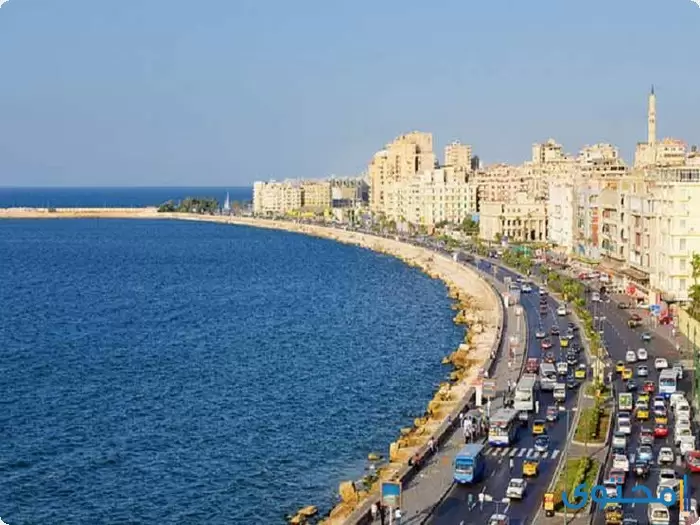 بحث عن الإسكندرية4