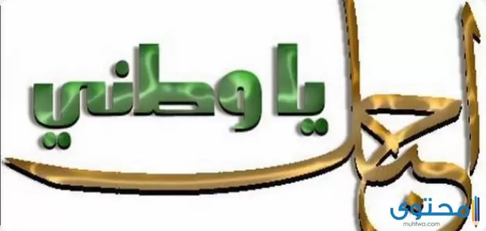 عن الانتماء للوطن2
