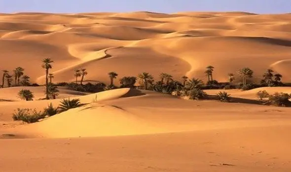 بحث عن البيئة الصحراوية في مصر