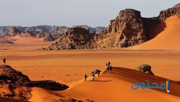 بحث عن البيئة الصحراوية في مصر
