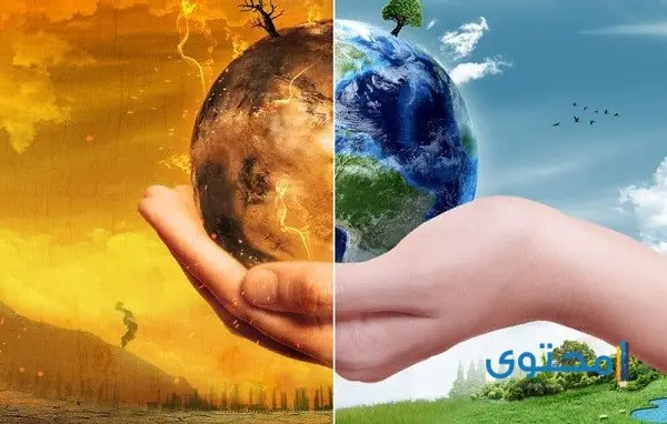 بحث عن البيئة النظيفة والبيئة الملوثة