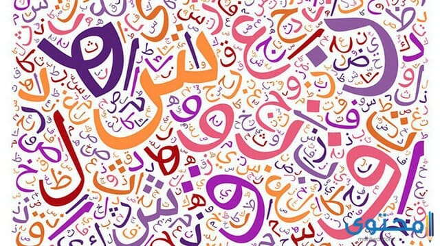 بحث عن التوابع في اللغة العربية كامل 1 بحث عن التوابع