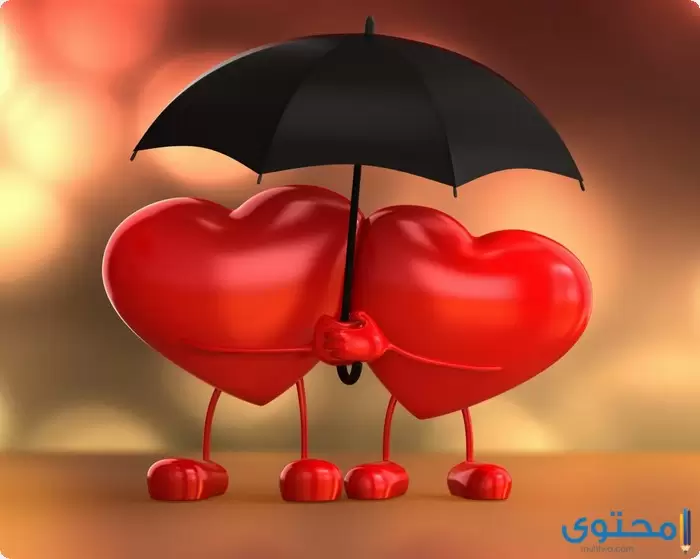بحث عن الحب والعطاء4