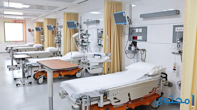 اجمع صورا ومقالات حول انجازات بلادنا الحبيبة